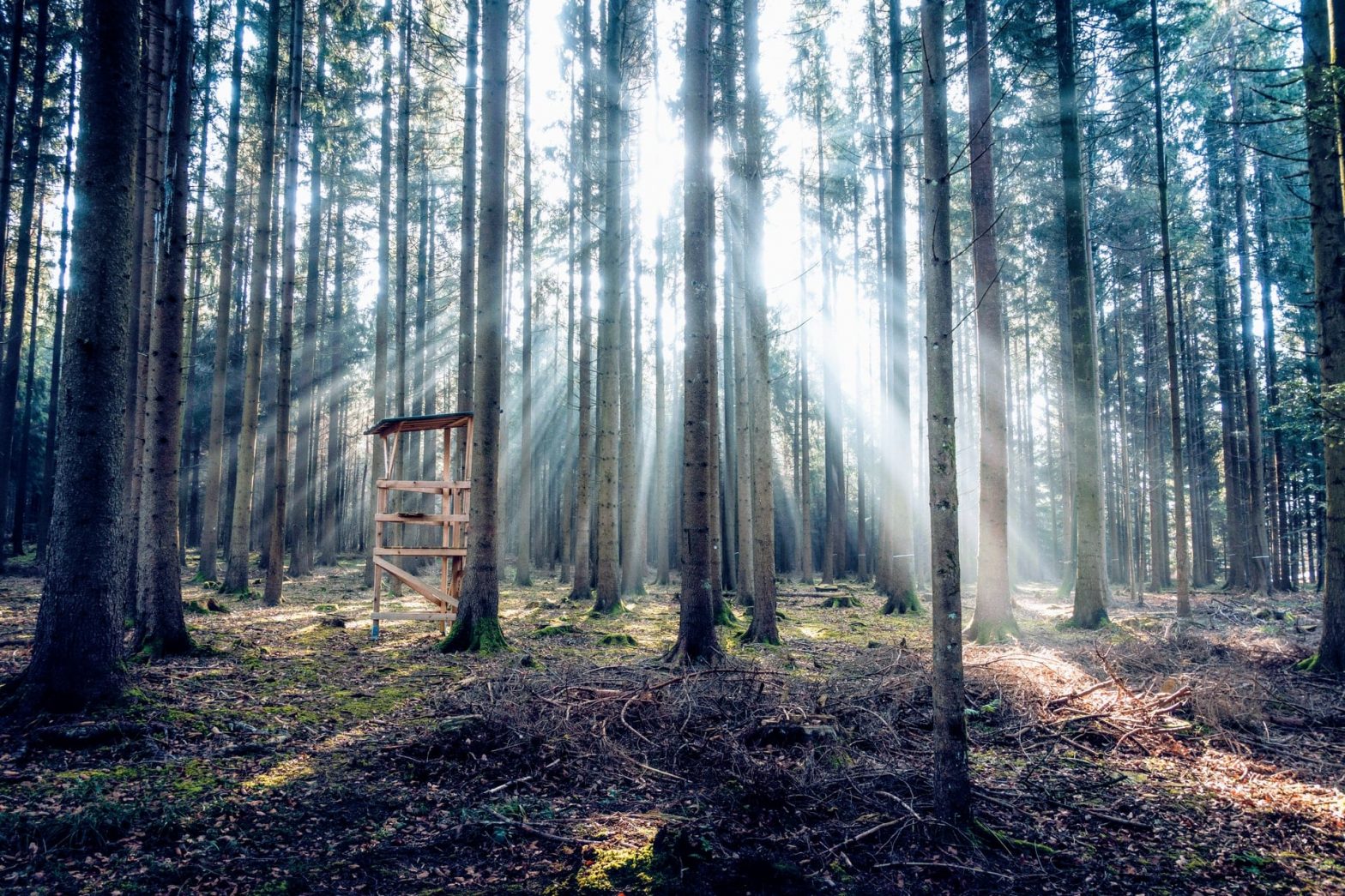 Tipps und Sicherheit bei der Nachtjagd